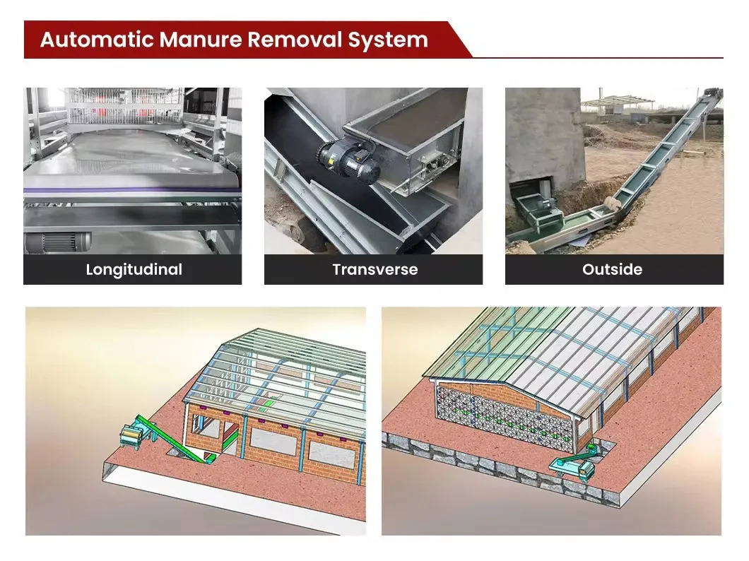 Chinese-Manufacturer-Livestock-Poultry-Farming-Tiers-Cage-Equipment-for-Broiler (3)