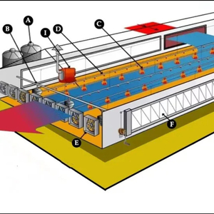 Factory Price Poultry Farm Equipment Automatic Pan Feeding Line System for Broiler