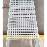 Poultry Flooring System Plastic Slat Slat Flooring Cage Chicken Farm Floor for Chicken