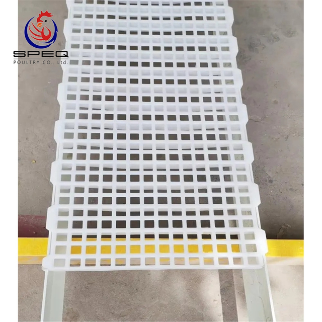 Poultry Farm Equipment High Quality Plastic Slat Floor System for Chicken Farm