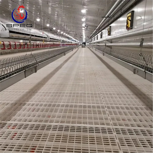 Poultry Farm Floor Raising Breeder Pan Feeding System & Layer Slat Floor Breeding System