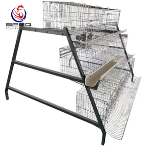 Automatic Egg Chicken Layer Battery Cages for Poultry Farm