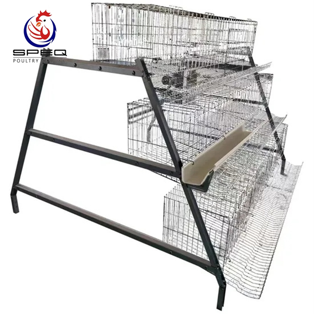 Factory Direct Hot Galvanized Automatic Layer Chicken Battery Cage