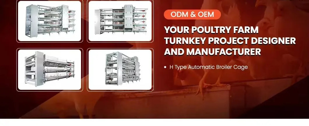 Chinese-Manufacturer-Livestock-Poultry-Farming-Tiers-Cage-Equipment-for-Broiler (1)