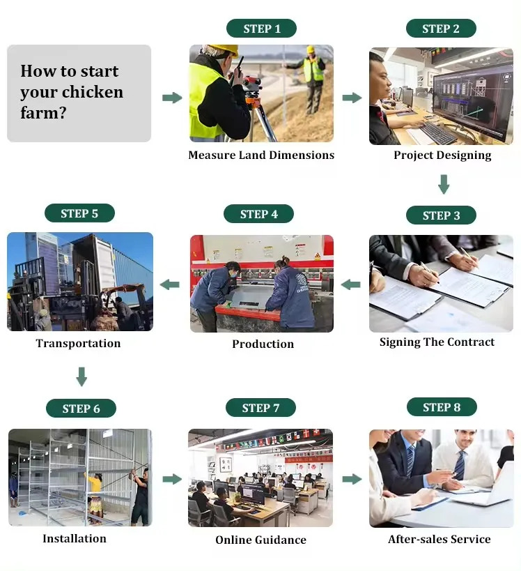 Chinese-Manufacturer-Livestock-Poultry-Farming-Tiers-Cage-Equipment-for-Broiler (5)