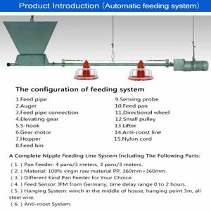 Sturdy and Efficient Broiler Farm Machinery for Maximizing Profitability