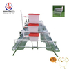 A Type Automatic Galvanized Chicken Farm Poultry Equipment for Sale