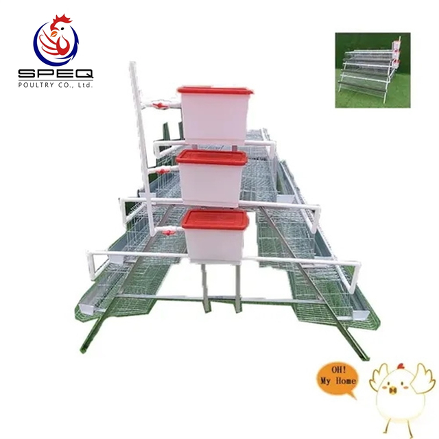 A Type Automatic Galvanized Chicken Farm Poultry Equipment for Sale