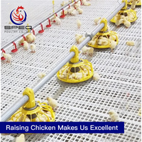 Practical broiler floor rearing chicken cage poultry farm equipment for sale