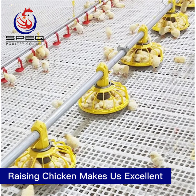 Automatic chicken raising system drinking line broiler poultry equipment on flooring