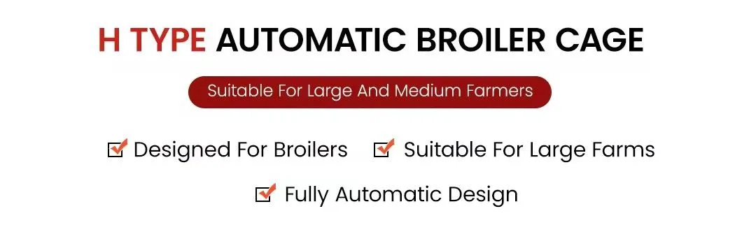Chinese-Manufacturer-Livestock-Poultry-Farming-Tiers-Cage-Equipment-for-Broiler (9)
