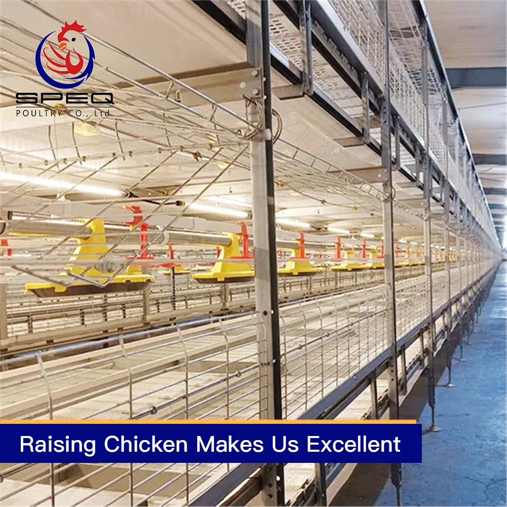 RETECH-Farming-automatic-chain-type-harvesting-broiler-cage-equipment