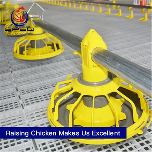  Easy Operation Pan Feeding Broiler Floor Raising System for Poultry Farming Equipment