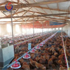 Automatic Broiler Chicken Battery Cage Poultry Feeding System