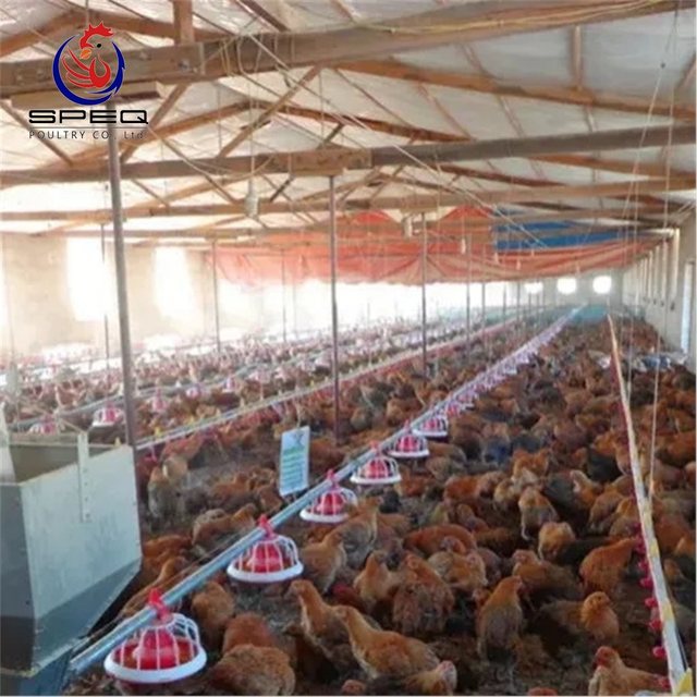 Farming port Poultry Feed Processing Manufacturing Equipment