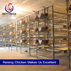 Automatic Broiler Chicken Farm Battery Cage Poultry Farming Equipment for sale