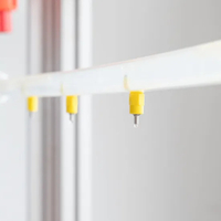 Buy-Low-Price-Poultry-Farming-Automatic-Stainless-Steel-Nipple-Drinking-System (9)