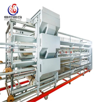 Automatic H Type Poultry Cage Layer Chicken Battery Cages