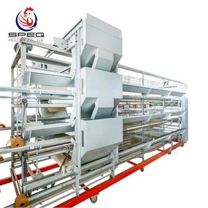 Automatic H Type Poultry Cage Layer Chicken Battery Cages