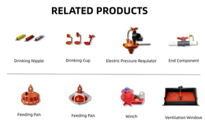 High-Grade and Durable Broiler Farm Machinery, Optimized for Maximum Space Utilization and Production Efficiency