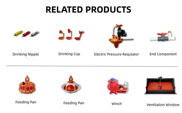 High-Grade and Durable Broiler Farm Machinery, Optimized for Maximum Space Utilization and Production Efficiency