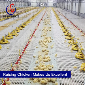 Chicken poultry farm equipment Broiler Poultry Farm for Nigeria