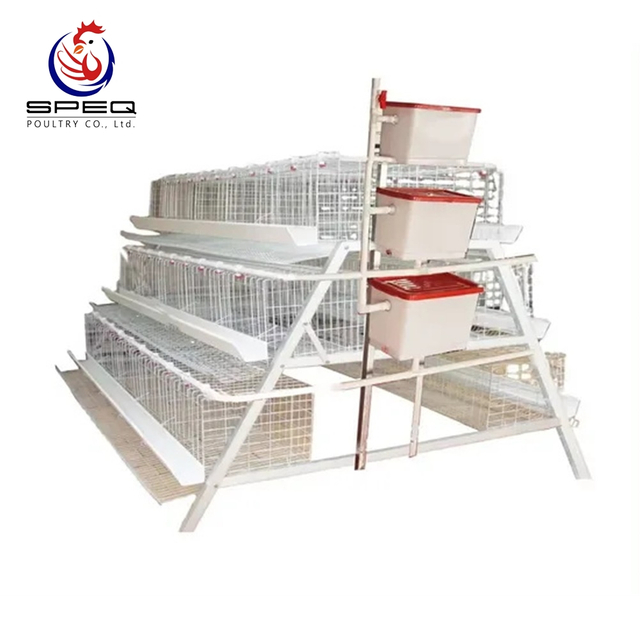 A Type Poultry Equipment For Laying Hens/Layer/Egg Chicken cage