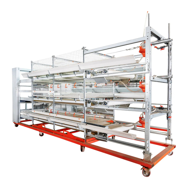 China high quality automatic poultry layer cages systems