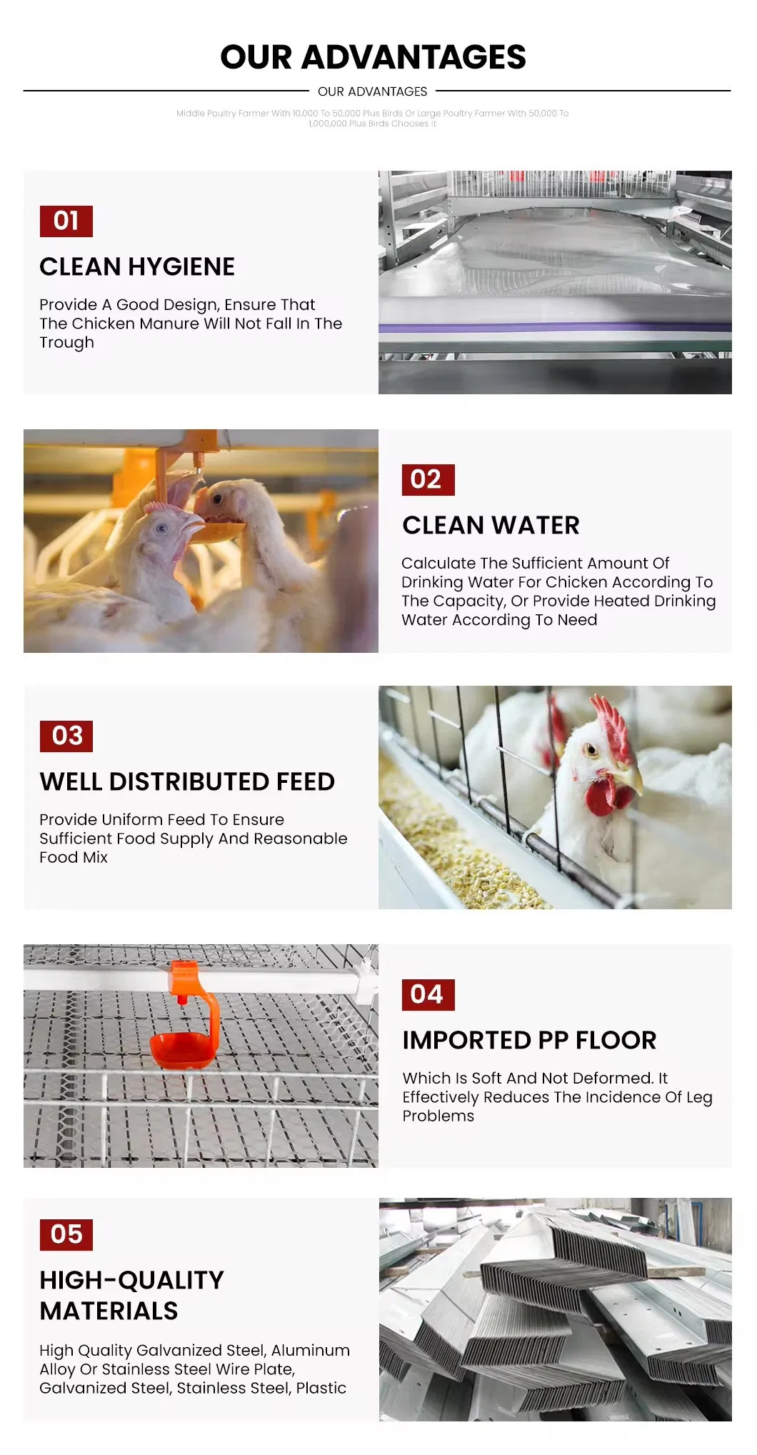 Chinese-Manufacturer-Livestock-Poultry-Farming-Tiers-Cage-Equipment-for-Broiler (2)