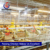 Automatic chain-type harvesting broiler raising equipment
