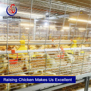 Automatic chain-type harvesting broiler raising equipment