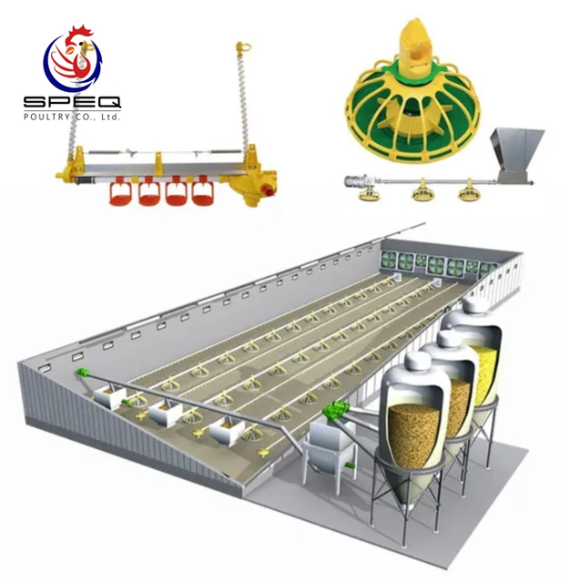 Poultry Equipment Poultry Feeders and Drinkers Poultry Farm Equipment for Sale
