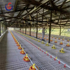 Poultry Flooring System Plastic Slat Slat Flooring Cage Chicken Farm Floor for Chicken