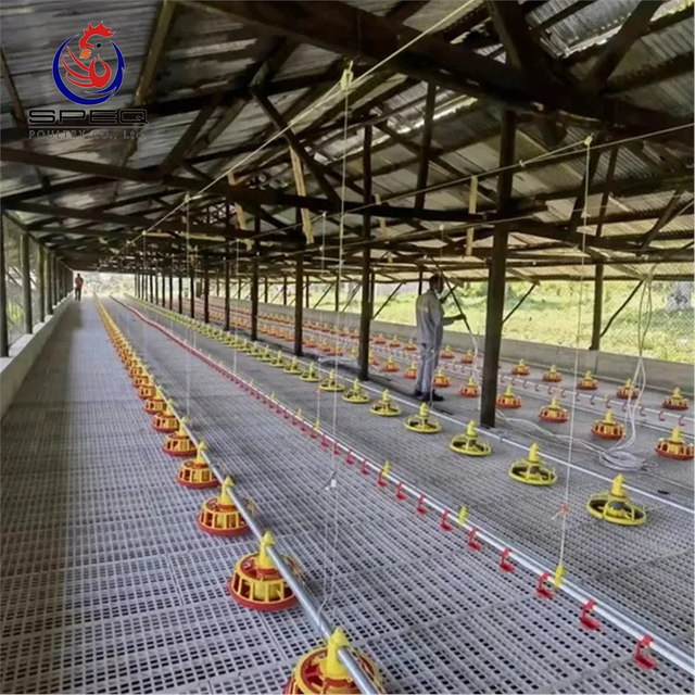 Poultry Farm Equipment High Quality Plastic Slat Floor System for Chicken Farm