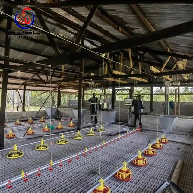 Poultry Farm Equipment High Quality Plastic Slat Floor System