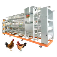 poultry farming equipment automatic chicken layer cage