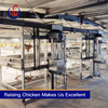 Automatic chain-type harvesting broiler raising equipment