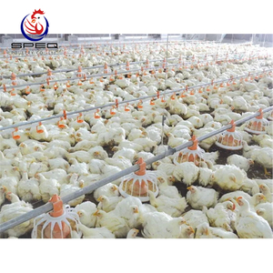 Automatic Broiler Chicken Battery Cage Poultry Feeding System