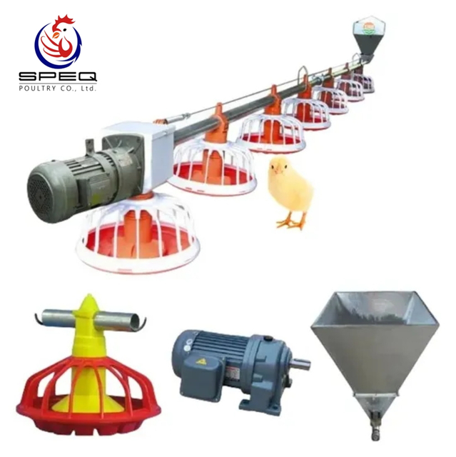 Factory Price Poultry Farm Equipment Automatic Pan Feeding Line System for Broiler.