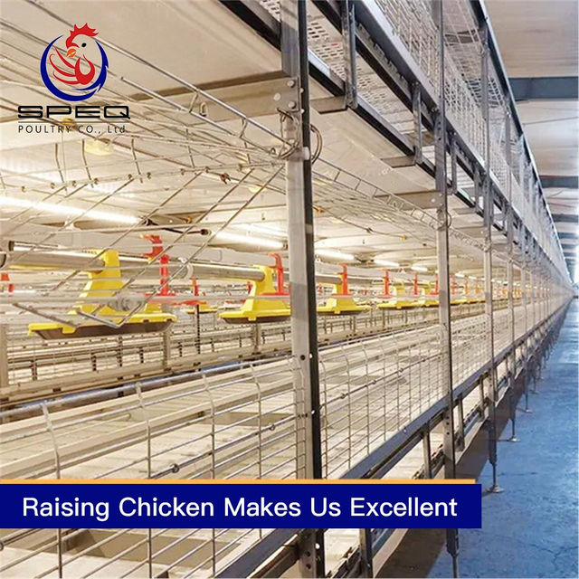 Philippines Chicken Cage 2-4 Tiers Chain Type Harvesting Broiler Cage