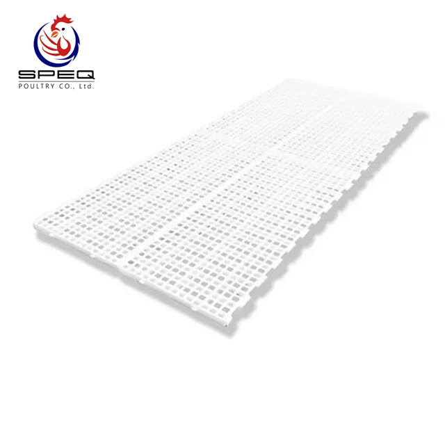 Poultry Flooring System Plastic Slat Slat Flooring Cage Chicken Farm Floor for Chicken