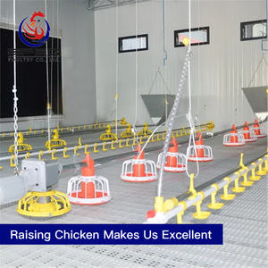 Practical broiler floor rearing chicken cage poultry farm equipment for sale