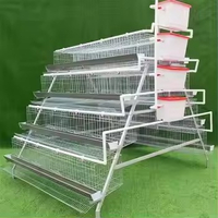 High Quality Hot Galvanized A Type Chicken Egg Layer Cage