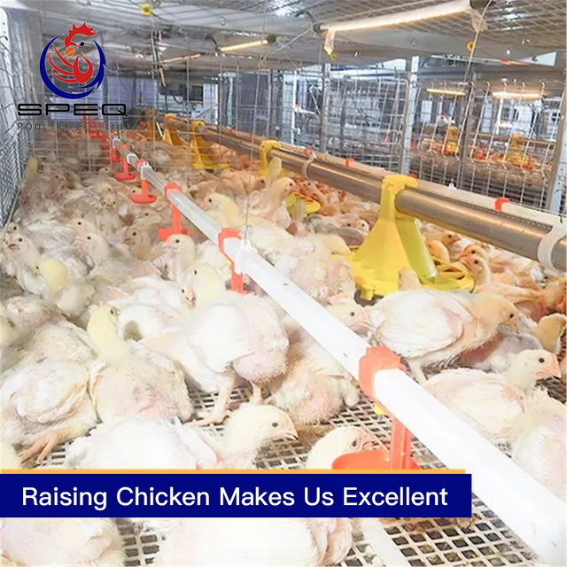 Automatic chain-type harvesting broiler raising equipment chicken cage