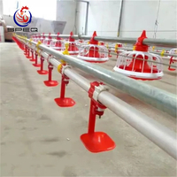 New Designed High Quality Broiler Chicken Nipple Drinking System