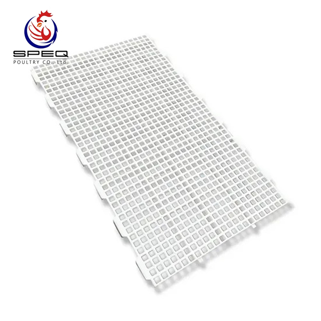 Poultry Equipment High Quality Plastic Slat for Poultry House