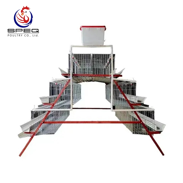 A Type Automatic Poultry Farm Cage For Layer/Hen/Egg Chicken.