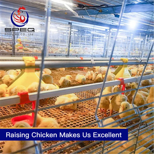 Automatic chain-type harvesting broiler raising equipment
