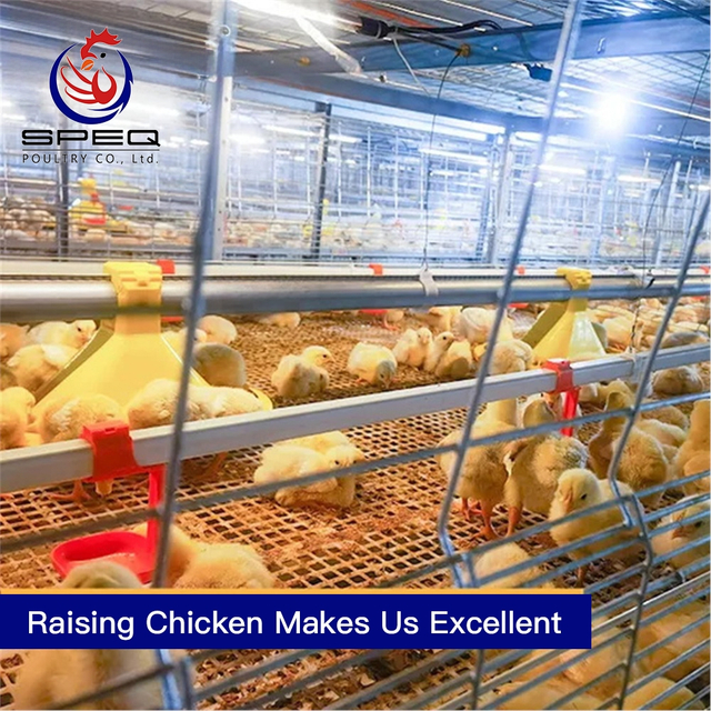 Automatic chain-type harvesting broiler raising equipment chicken cage