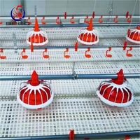 Livestock Chicken Shed Automatic Poultry Farming System Floor Raising System for Sale